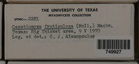 Image Associated With the Occurence